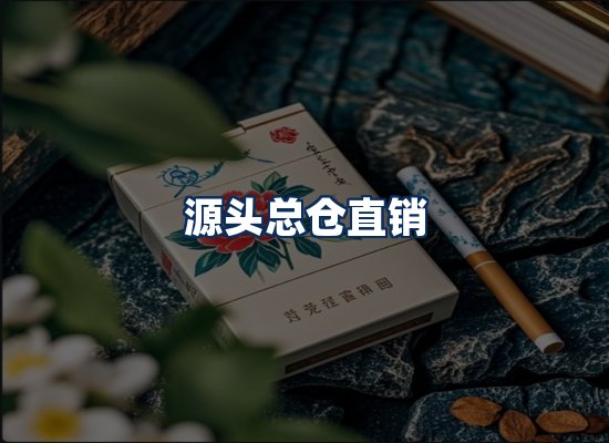 专业团队办公环境